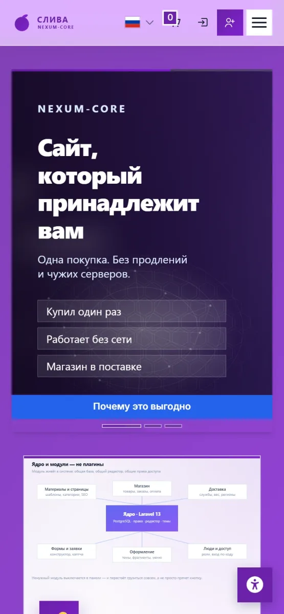 Слива — 4
